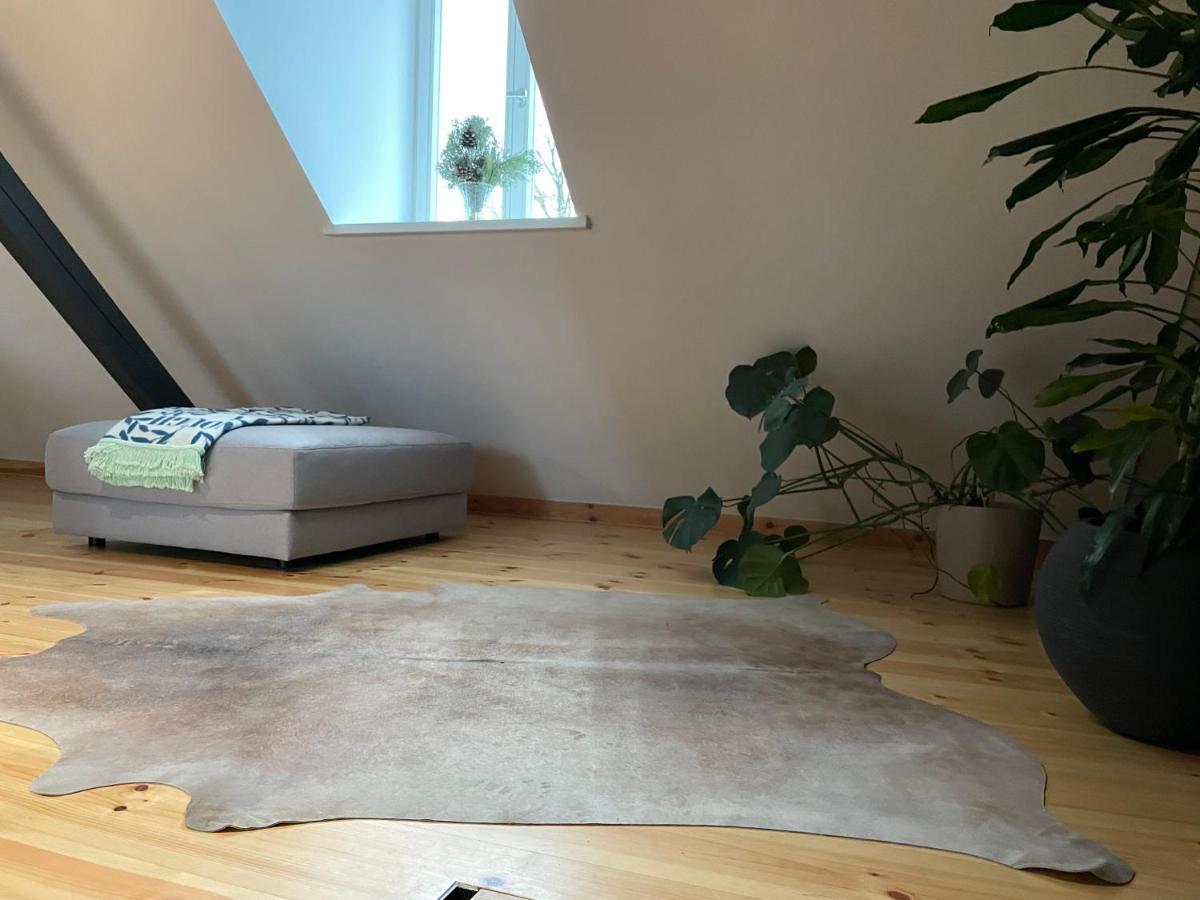 Voh Super Exklusives Loft, Zentral, Smart-Tv, Parkplatz Διαμέρισμα Vohenstrauss Εξωτερικό φωτογραφία